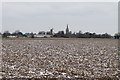 Wintery Fields near Moulton in PE12 6TD