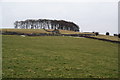 Ruined barn on Fairfield Low in SK17 7RR