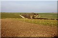Arable field near West Ilsley in RG20 7AT