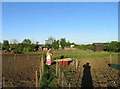 Footpath through the allotments in LE14 3HS