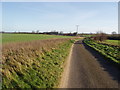 Road to Hindringham in NR21 0PQ