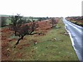 The road across Shaugh Moor in PL7 5HP