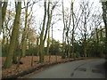 Welders Lane going through Grove Wood in SL9 8TU