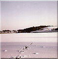 Lanark Loch in Winter in ML11 7TG