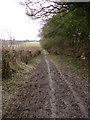 Winterborne Houghton, byway in DT11 0YL