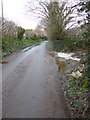 Winterborne Houghton, river source in DT11 0YL