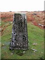 Trig Point on Saddlesborough in PL7 5HP