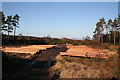 Timber near Lower Carse in IV2 7QA