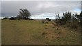 Bench overlooking Monifieth Sands in DD5 4GH