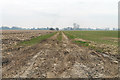Farm Track off Branch's Lane in PE12 8PD