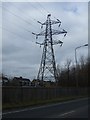 Pylon beside the A579 in M46 0PG