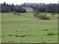 Bourne Park House and sheep fields in CT4 5BJ
