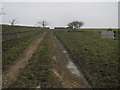 Farm track carrying a public footpath in DL13 3PD