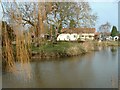 Ornamental pond near Walpole Bank in PE14 7HW