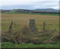 Trig point of Blair Muir in DD9 7RA