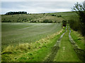 Path to Pewsey Hill in SN9 5JF