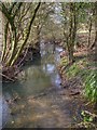 Small stream through the trees in B95 6DJ