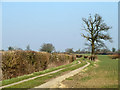 Farm track near Hyde Hall in CM3 3LH