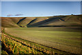 Sheep pens and farmland under Tan Hill in SN8 4LB