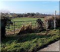 Kissing gate access to a public footpath, Horsemarling Lane, Standish in GL10 3WE