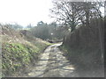 Hollington Lane north of Yews Farm in RG20 9XT