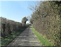 Un-named lane south of Woodcut Copse in RG20 0BT