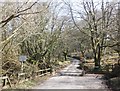 Cattle grid, near Twitchen in EX36 3LS