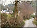 Lane past Combe Farm in TQ12 3QD