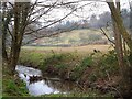 Stream, Ideford Combe in TQ12 3QD