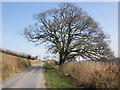 Minor road to Bottreaux Mill in EX36 3NJ