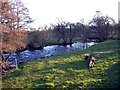 River Petteril near Calthwaite Bridge in CA11 9QU