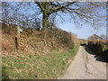 Track to East Lee Farm in EX36 3PS