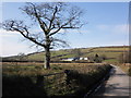 Minor road to Molland in EX36 3PS