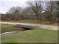 Bridge over stream west of Holly Hatch Cottage, New Forest in BH24 3QZ