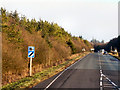 Eastbound A75, Kelhead Moss Plantation in DG12 5RL