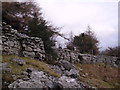 Wall and Crag Township Plantation in Crosthwaite and Lyth