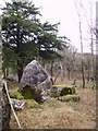 Boulder, Wakebarrow Woods in LA8 8DG