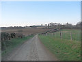 Old Lane north of Mason's Farm in RG20 0JB