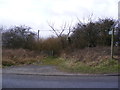 Footpath to Pond Farm & A12 in NR33 7PN