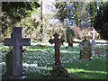Snowdrops and graves stones at Manston Churchyard in DT10 1EY
