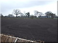 Farmland, Heathlands Farm in WA13 9NZ