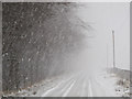 Snow flurry on the B934 in FK14 7LB