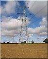 Pylons and fields in SG9 0PB