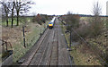 Train  heading to Newark on ECML in Hougham