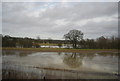 Flooded farmland in Warkworth