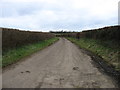 A lane near Lower Woolston in BA9 8DX