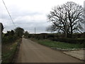 The lane to Sherborne in DT9 4LN
