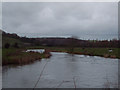 River Avon from Avon Bridge, Stratford sub Castle in SP2 9EN