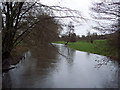River Avon near Heale House in SP4 6NR