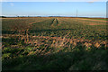 Farmland between Osbournby and Mareham Lane in Helpringham & Osbournby Ward